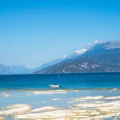 BB贝博ballbet官网登录器